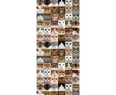 Fototapete, Tapete Katzen WP 9824, 0,53x10,05 m