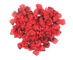 Grace Florist 2000 Pcs Seide Rosenblätter Hochzeit Blume Deko für Hotel Party Gang Decor Rot/Schwarz