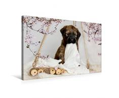 Premium Textil-Leinwand 75 x 50 cm Quer-Format Mein Schnuffeltuch | Wandbild, HD-Bild auf Keilrahmen, Fertigbild auf hochwertigem Vlies, Leinwanddruck von Sonja Teßen