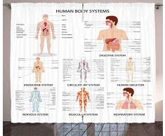 Echthaar Anatomie Vorhänge von ambesonne, komplett Diagramm der verschiedenen Organ Body Strukturen Cell Life Medical illustration, Wohnzimmer Schlafzimmer Fenster Drapes 2 Panel Set, 108 W x 84L Zoll, Multi