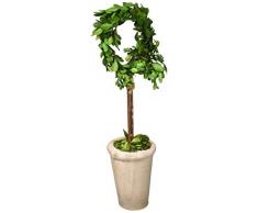 Moderne Home 33 cm konserviert, Buchsbaum Monogramm Buchstaben W/Terra Cotta Topf, F