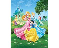 AG Design Disney Princess, Papier Fototapete, 90x120 cm-1 Teil, Multicolor, 0,1 x 90 x 120 cm