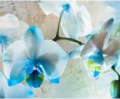 Fototapete FTNxxl1144 Photomurals Blumen