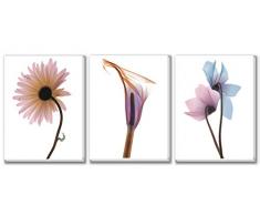 Texture of Dreams Leinwandbild, gerahmt, Blumen-Blätter, elegant, Blumen-Design, für Wohnzimmer, Schlafzimmer, Badezimmer, Salon Abstrakt 12 x 16 Gänseblümchenlilie