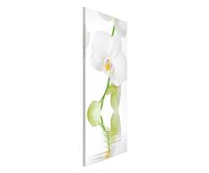Apalis Orchideen Magnettafel - Wellness Orchidee - Blumenbild Memoboard Hoch 78cm x 37cm Größe HxB:78cm x 37cm