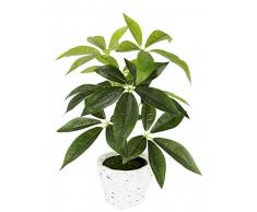 Flair Flower, grün, Schefflera im Übertopf aus Wasserhyazinthe, Kunst, Seidenblumen, Real Touch, Kunstpflanzen, Pflanzen künstlich, Dekopflanze, groß, 48x30 cm