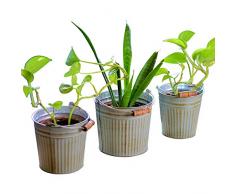 WHW Whole House Worlds Blumentopf Cornwall 2 Ass. Set 3. h 11-13 cm Metall Farbmix Zinkfarb-Mix Parent Gray 3 Piece Buckets