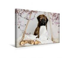 Premium Textil-Leinwand 45 x 30 cm Quer-Format Mein Schnuffeltuch | Wandbild, HD-Bild auf Keilrahmen, Fertigbild auf hochwertigem Vlies, Leinwanddruck von Sonja Teßen