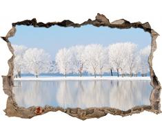 Pixxprint 3D_WD_S2513_92x62 wunderschöne Bäume in Schneelandschaft Wanddurchbruch 3D Wandtattoo, Vinyl, bunt, 92 x 62 x 0,02 cm