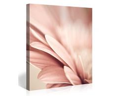 Picanova – Retro Pink Petals Flower 80x80cm – Premium Leinwanddruck – Kunstdruck Auf 2cm Holz-Keilrahmen Für Schlaf- Und Wohnzimmer