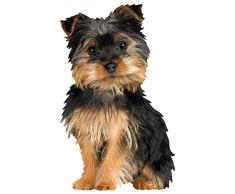 Paper House Productions Silky Terrier Magnet für Kühlschränke und Spinde, 8,9 x 5,7 cm