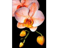 Collection DArt DE281 Stickset Orchidee, multi, Einheitsgröße