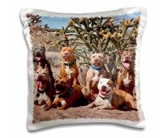 3dRose PC_93017_1 Kissenbezug, Motiv: American Pitt Bullterrier Hund, Kaktus, us32 Zmu0025, Zandria Muench Beraldo, 40,6 x 40,6 cm