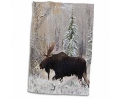 3dRose Shiras Bull Moose-Autumn Snow Handtücher, weiß, 15 x 22