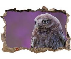 Pixxprint 3D_WD_S1521_62x42 kleine Eule Wanddurchbruch 3D Wandtattoo, Vinyl, bunt, 62 x 42 x 0,02 cm