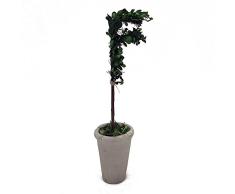 Moderne Home 33 cm konserviert, Buchsbaum Monogramm Buchstaben W/Terra Cotta Topf – F
