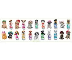 Kimberlin, Keith - Hunde - Türposter Panoramaposter Foto Hunde Welpen - Grösse 158x53 cm