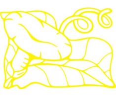 INDIGOS/Wandaufkleber-e184 hübsche Trompetenblume 96x67 cm- gelb, Vinyl, 96 x 67 x 1 cm