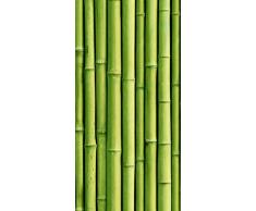 Innova H1651 Heizkörper, Hartglas (BF), Bambus, einzigartig