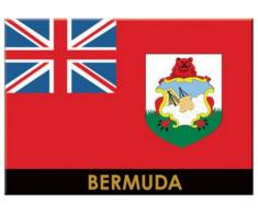 Bermuda Flagge Karibik Kühlschrank Collector s Souvenir Magnet 6,3 x 8,9 cm