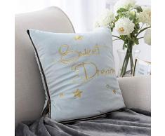 Ashler Dekorativer Kissenbezug aus Plüsch, Samt, quadratisch 60 X 80 inches hellblau