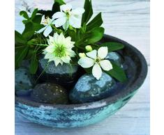 Unbekannt Neue imagesaffiche 30Â x 30Â cm Waschtisch blau/Blue Basin/Blaues Brunnenbecken