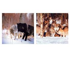 Impact Posters Gallery Wild Wolves Schwarz und Grau Wolf Denver Bryan Wildlife Animal 8 x 10 Zwei Set Bild Wand Decor Art Print Poster