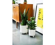 Ivyline Blumentopf, Keramik, weiß, 24 cm