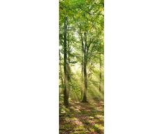 Innova H1644 Heizkörper, Hartglas (BF), Morgenford, einzigartig