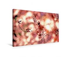 Premium Textil-Leinwand 75 x 50 cm Quer-Format Ceisier Blumen | Wandbild, HD-Bild auf Keilrahmen, Fertigbild auf hochwertigem Vlies, Leinwanddruck von Patrice THEBAULT