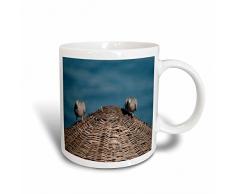 3dRose mit Tauben und Sonnenschirm, Tasse, Keramik, 8,45 12,7 cm x x 15,2 cm, Weiß