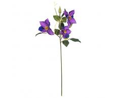 EUROCINSA Ref.12007C63 Clematis, Schachtel mit 12 Stück, Lavendel, 60 cm