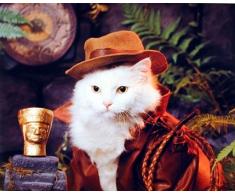 Indiana Jones Nature Cat Animal Kinder Zimmer Kunstdruck Poster (16 x 20 cm)