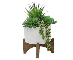 G & G Flora Bunda Mitte Jahrhundert, künstliche Pflanzen, Kaktus, Sukkulenten-Mix in 12,7 cm Streifen, Keramik mit Holzständer Succulent Mix 4, White Roman 5