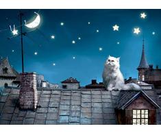 Fototapete FTNm2606 Photomurals Katze