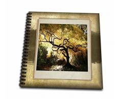 3D Rose Bonsai Japanese Maple Drawing Book