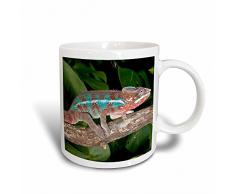 3dRose Regenbogen-Panther mit, lizard-na02 dno0693-david northcott-Magic, Kaffeebecher, Keramik, Schwarz/Weiß, 10.16 cm x 7,62 x-Uhr