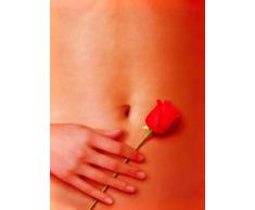 newhorizon Filmposter, Motiv American Beauty, 43,2 x 55,9 cm