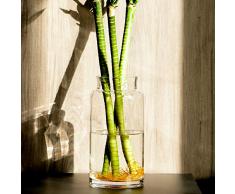 Slegan Glasvase farblos