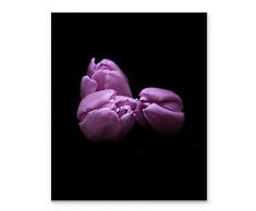 Kunstdruck, Tulpenmotiv, ungerahmt, 27,9 x 35,6 cm, Violett auf schwarzer Blume, Dekoration für Küche, Schlafzimmer, Büro, Badezimmer, Zuhause