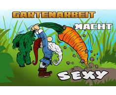 Schatzmix Spruch Gartenarbeit Macht sexy Gartenzwerg Metallschild 20x30 Deko Blechschild, Blech, Mehrfarbig, 20x30 cm