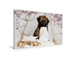 Premium Textil-Leinwand 120 x 80 cm Quer-Format Mein Schnuffeltuch | Wandbild, HD-Bild auf Keilrahmen, Fertigbild auf hochwertigem Vlies, Leinwanddruck von Sonja Teßen