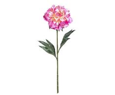 Darice Kunstblumen, Langer Stiel, Pfingstrose, Fuchsia, 20,3 x 68,6 cm