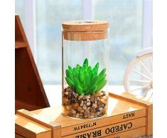 Künstliche Sukkulenten-Pflanzen – Kunstkunststoffpflanze in Glas-Terrarium mit Topf-Dekor und LED-Licht – künstliche Sukkulenten im Topf – Dekoration für Schreibtisch, Büro, Küche und Bad Short Green