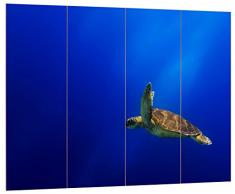 Pixxprint HBVs_2682_80x60 schöne Schildkröte in Wasser MDF-Holzbild im Bretterlook Wanddekoration, bunt, 80 x 60 x 2 cm