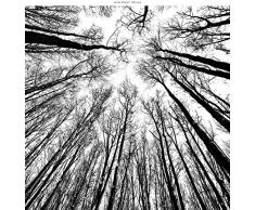 Windowpix Dekorative statische Fensterfolie, 45,7 x 45,7 cm, Tannenwald, Winterblick von unten, transparent, für Fensterscheiben geeignet, UV-Schutz, energiesparend