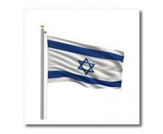 3dRose Flagge von Israel auf einem Fahnenmast über weiß – Eisen auf Wärmeübertragung, 10 von 25,4 cm, für weiß Material (HT 157183 _ 3)