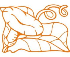 INDIGOS/Wandaufkleber-e184 hübsche Trompetenblume 120x84 cm- orange, Vinyl, 120 x 84 x 1 cm