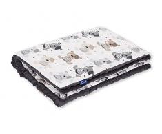 Pepi Leti 685843716969 Teddybären-Kuscheldecke Dunkelgrau Minky, Babydecke, Kinderdecke, 100 x 75 cm Decke, mehrfarbig