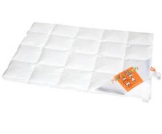 Maxi und Moritz - Kinderbettchen Daunendecke 8 x 5 Karos - 100 x 135 cm - 90% Daune / 10% Federchen - Deutsches Qualitätsprodukt - 975.98.012